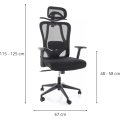 Kancelářská židle Ergofex černá