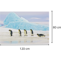 Obraz Penguins 120x80 cm vícebarevný