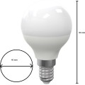 LED žárovka Franklin G45 studená bílá