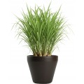 Sada 2 ks květináčů Purea 51,2x39,5/34,9x39,5 cm mokka hnědá