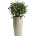 Sada 3 ks květináčů URBANIKA Coffee béžová 